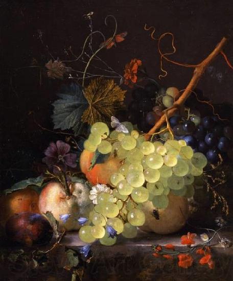 Jan van Huysum Still-life of grapes and a peach on a table-top Germany oil painting art